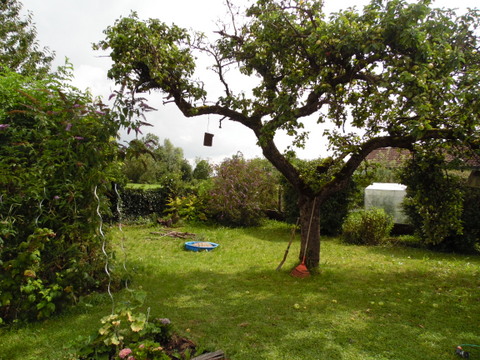 Garten Wohngrundst�ck Bruckm�hl/Heufeldm�hle
